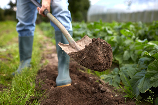 Biodynamic Farming for HiPP and Holle Baby Formula